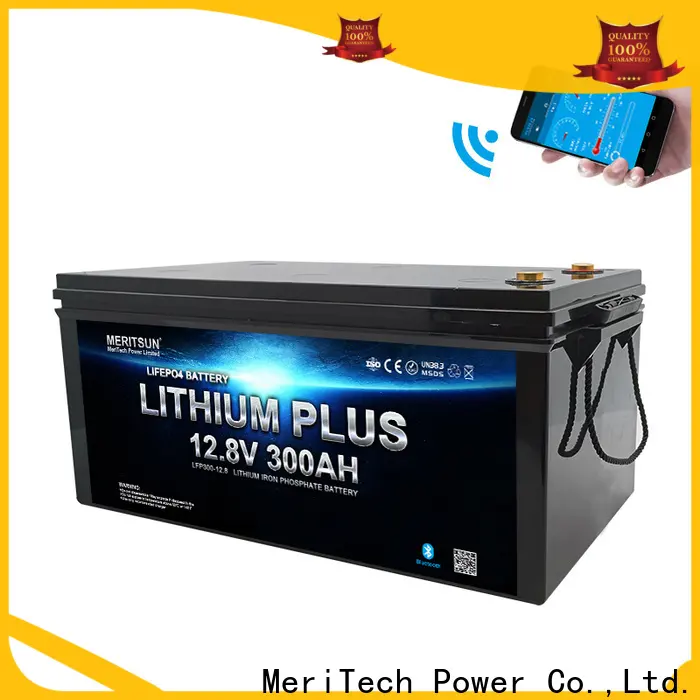 MERITSUN latest lithium battery with bluetooth factory for boat 1