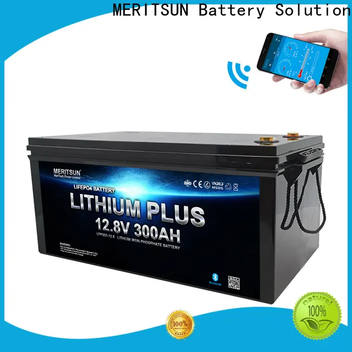 MERITSUN bluetooth lithium battery factory for solar street light1 1
