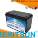 MERITSUN top low temperature lithium ion battery supply for electric motorcycle 1