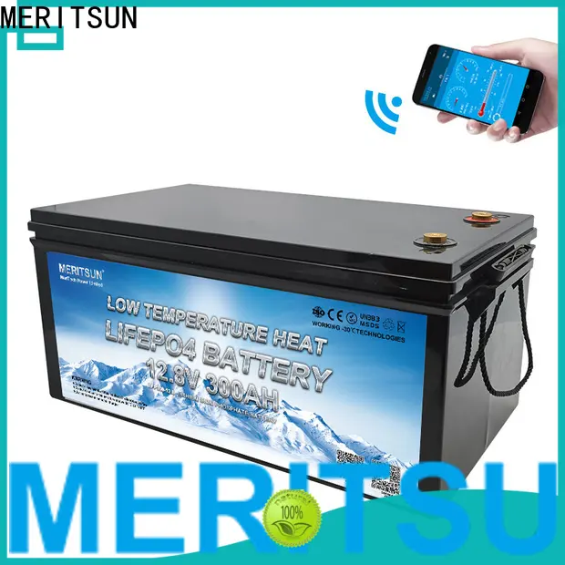 MERITSUN custom low temperature lithium ion battery with good price for car 1
