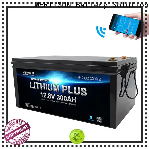 best bluetooth lithium battery suppliers for solar street light 1