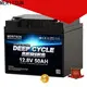 MERITSUN top lifepo4 battery 12v 100ah series for building 1