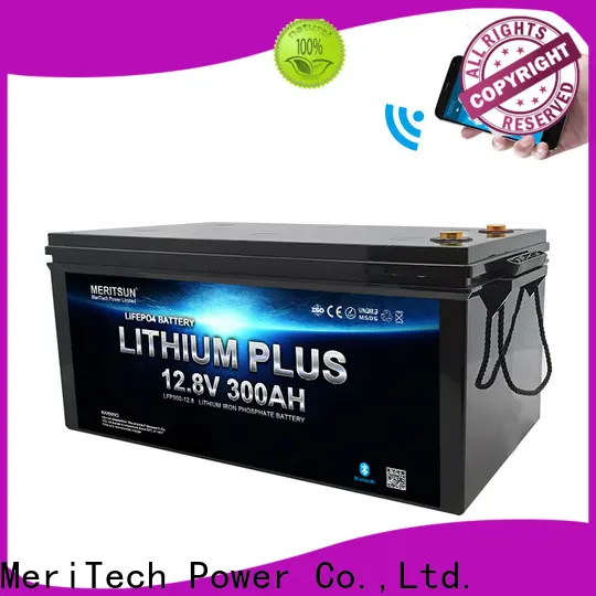 MERITSUN lithium battery with bluetooth manufacturers for boat 1