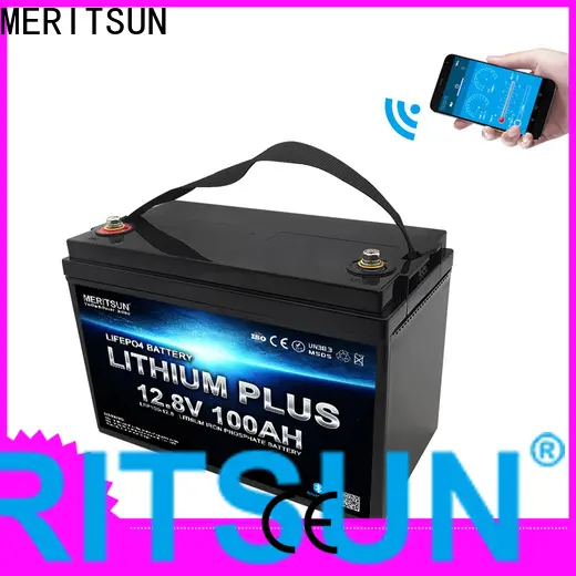 MERITSUN bluetooth lithium battery factory for robot 1