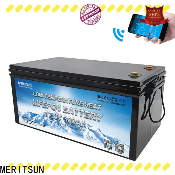 MERITSUN top low temperature li-ion battery supply for car 1