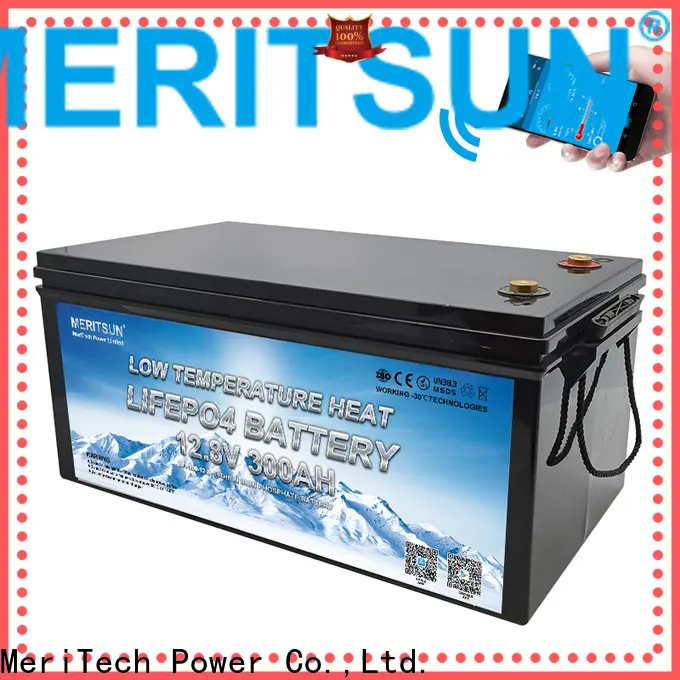 MERITSUN top low temperature lithium ion battery with good price for streetlight 1