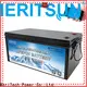 MERITSUN top low temperature lithium ion battery with good price for streetlight 1