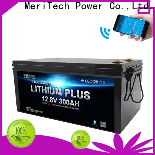 MERITSUN lithium battery with bluetooth factory for solar street light1 1