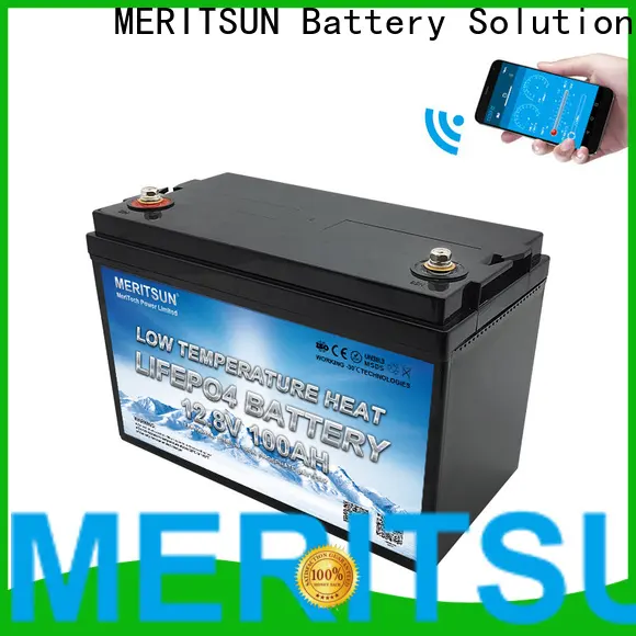MERITSUN new lithium battery low temperature supply for streetlight1 1