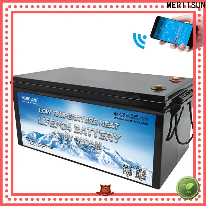 MERITSUN latest lithium battery low temperature suppliers for house 1