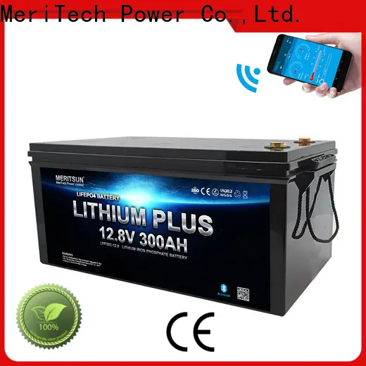 MERITSUN high-quality bluetooth lithium battery with good price for boat 1