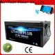 MERITSUN high-quality bluetooth lithium battery with good price for boat 1