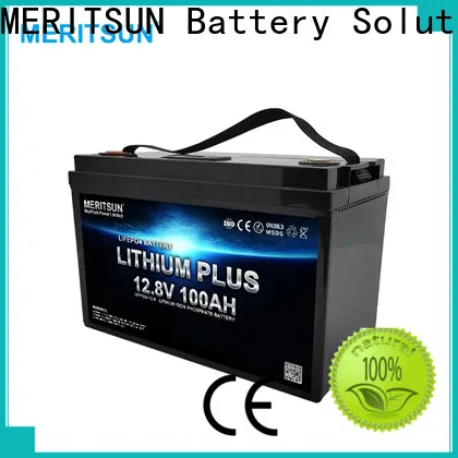 MERITSUN top lithium battery price customized for villa 1