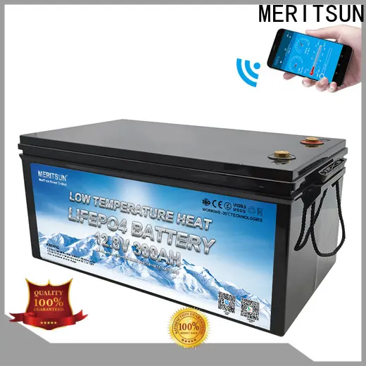top lithium battery low temperature manufacturers for house 1