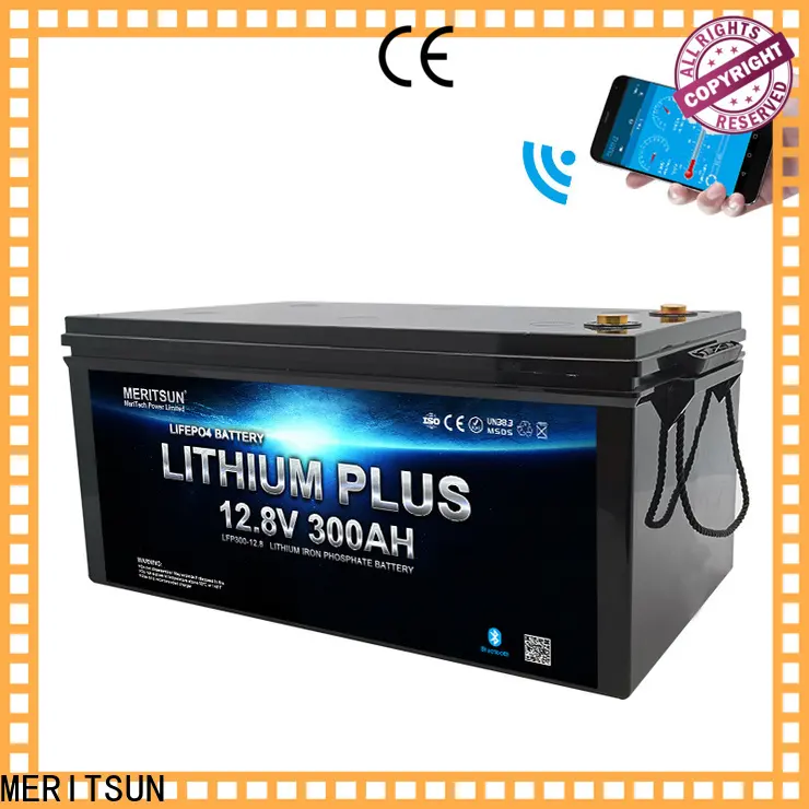 MERITSUN bluetooth lithium battery manufacturers for boat1 1