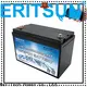 MERITSUN high-quality lithium battery low temperature supply for streetlight 1