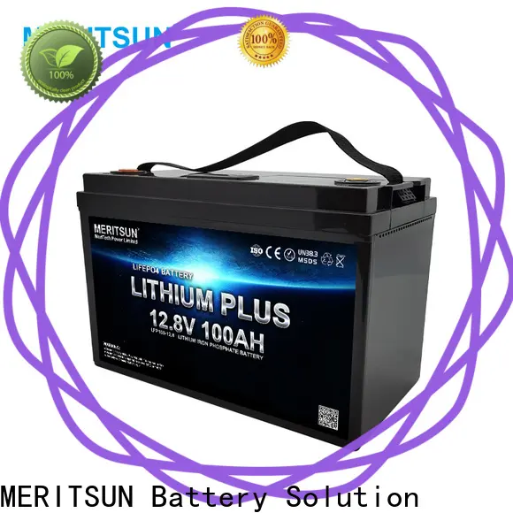 MERITSUN latest lifepo4 battery 12v 200ah supplier for villa 1