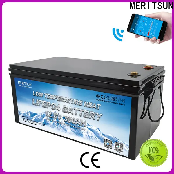 MERITSUN low temperature li-ion battery company for house 1