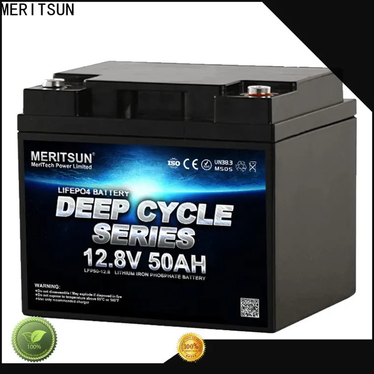 MERITSUN wholesale lifepo4 battery 48v customized for building 1