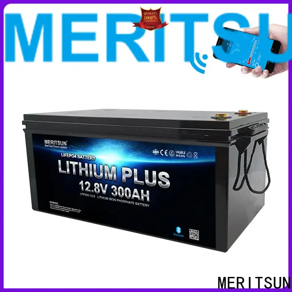 MERITSUN lithium battery with bluetooth suppliers for boat1 1