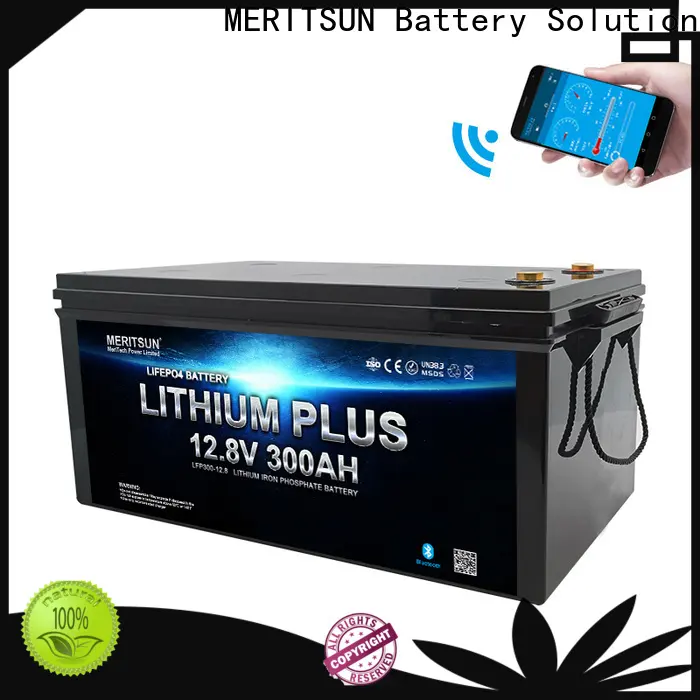 top bluetooth lithium battery supply for boat 1