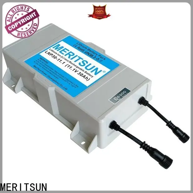 MERITSUN solar street light with battery with good price for garden 1