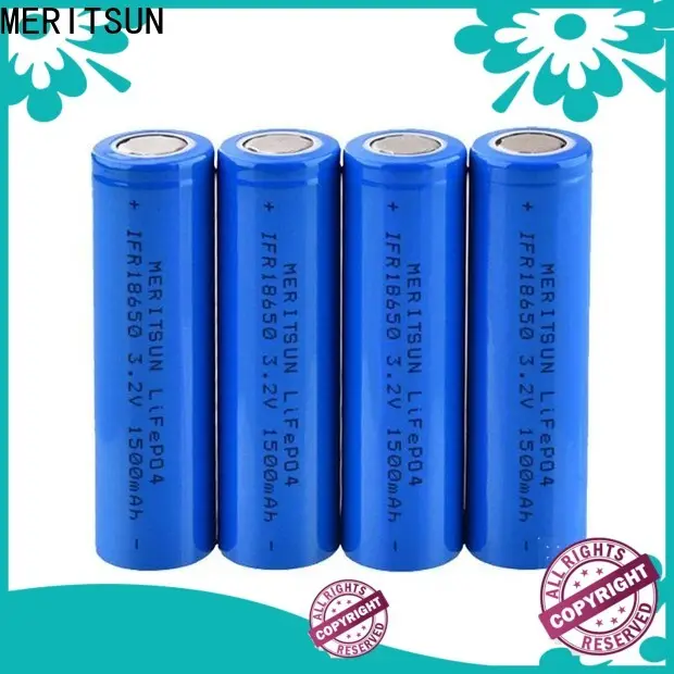 MERITSUN custom lithium ion cell factory direct supply for power bank 1