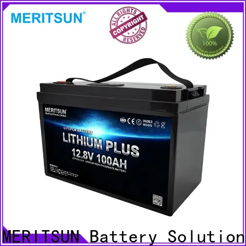 MERITSUN best lithium ion polymer battery customized for building 1