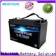 MERITSUN best lithium ion polymer battery customized for building 1
