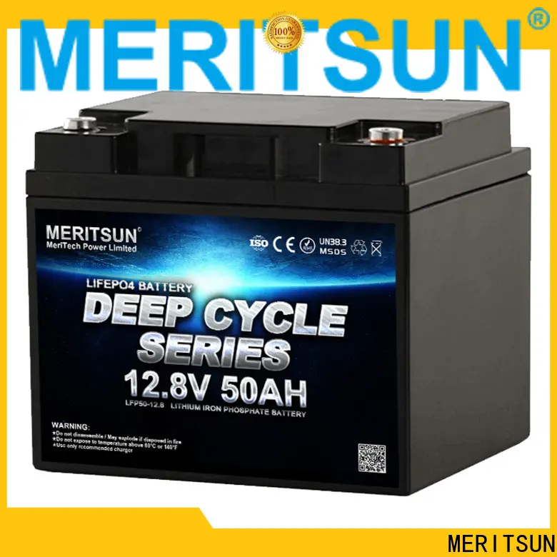 wholesale lifepo4 battery 12v customized for building 1