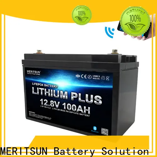 MERITSUN high-quality lithium battery with bluetooth with good price for boat 1