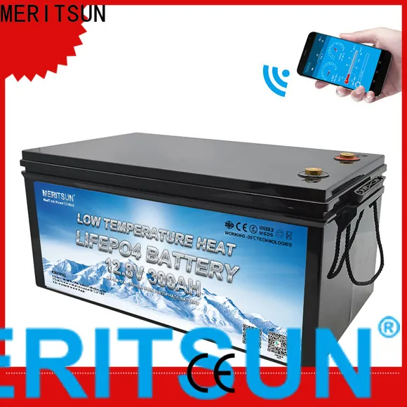 MERITSUN high-quality low temperature li-ion battery company for car 1