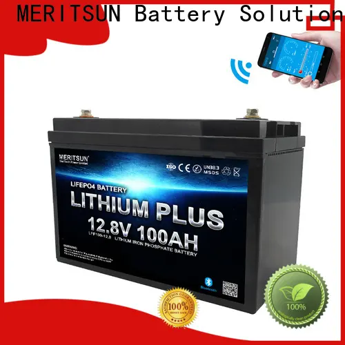 MERITSUN custom bluetooth lithium battery with good price for robot 1