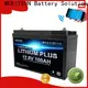 MERITSUN custom bluetooth lithium battery with good price for robot 1