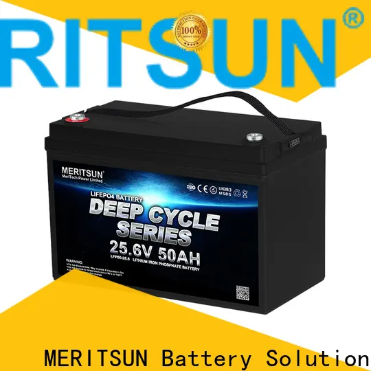 MERITSUN top lithium battery price series for villa 1