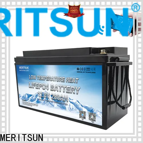 MERITSUN low temperature lithium ion battery with good price for house 1