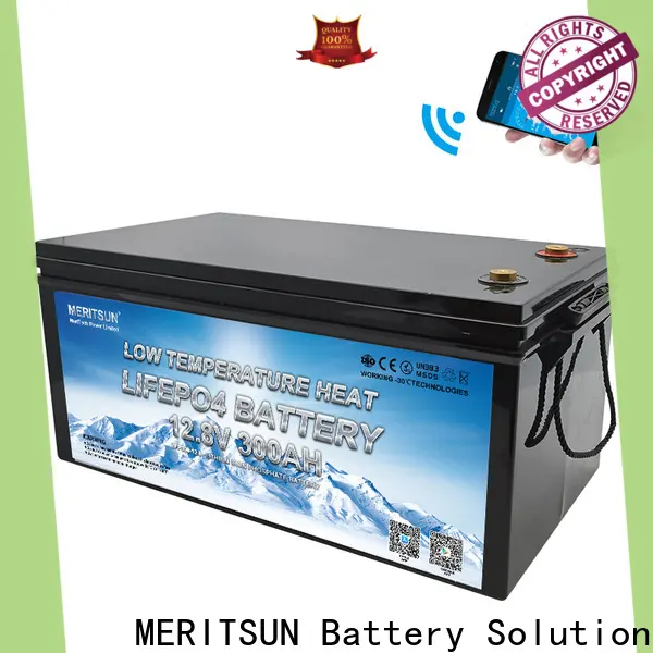 custom low temperature lithium ion battery for business for house 1