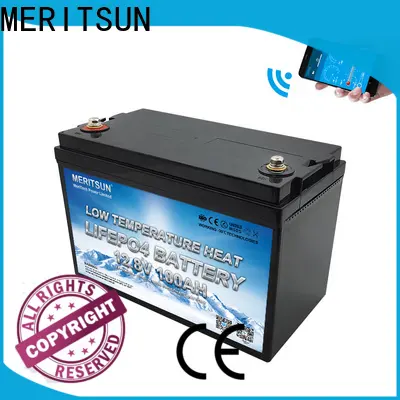 MERITSUN custom low temperature lithium battery company for house 1