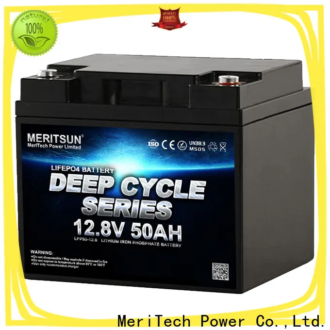 MERITSUN high-quality lithium battery price with good price for building 1