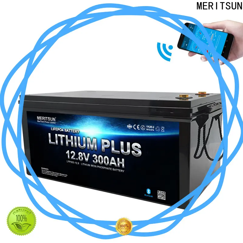 MERITSUN new bluetooth lithium battery company for robot1 1