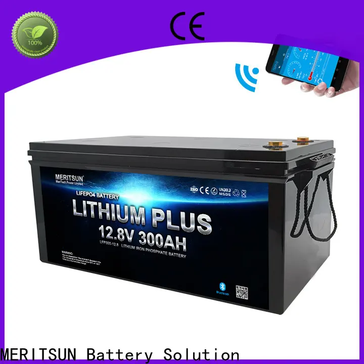 MERITSUN wholesale bluetooth lithium battery with good price for boat1 1
