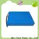 MERITSUN solar light price customized outdoor1 1