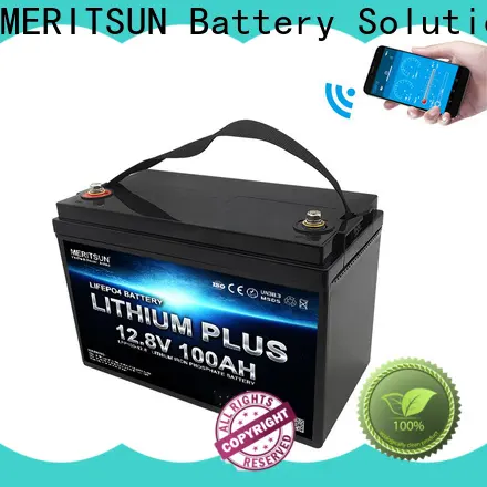 MERITSUN custom lithium battery with bluetooth suppliers for robot 1