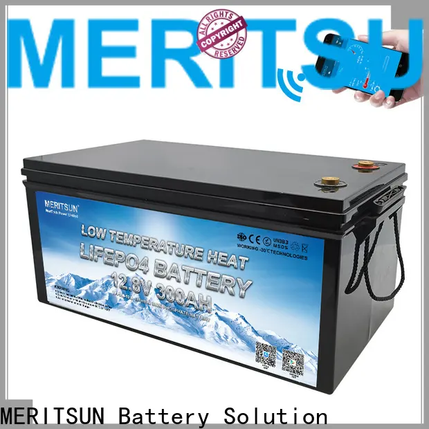 MERITSUN custom lithium battery low temperature with good price for car 1