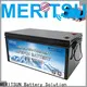 MERITSUN custom lithium battery low temperature with good price for car 1