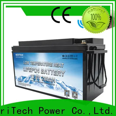 MERITSUN custom low temperature li-ion battery for business for robot 1