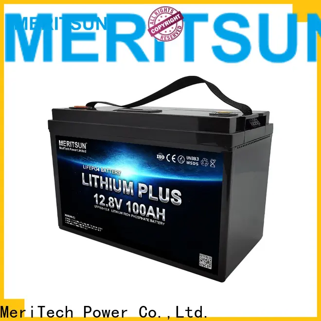MERITSUN lithium iron battery with good price for building 1