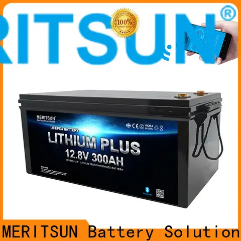 MERITSUN top lithium battery with bluetooth factory for boat 1
