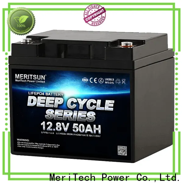MERITSUN lithium batteries for sale customized for villa1 1