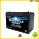 MERITSUN custom lifepo4 battery 12v supplier for villa 1